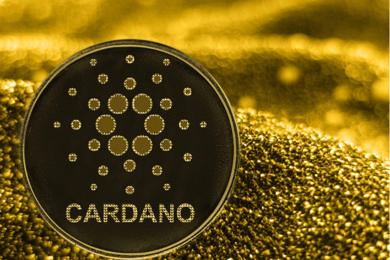 imagen de cardano